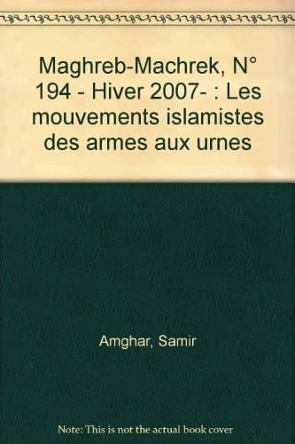 Les mouvements islamistes, des armes aux urnes