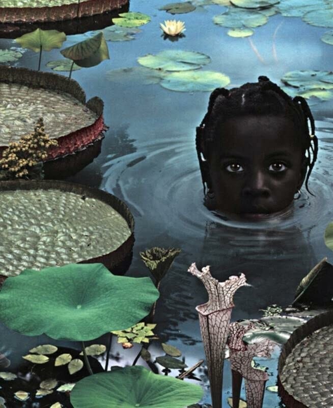 Ruud Van Empel 25 Years of Photo Works, 1995-2020
