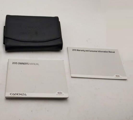 2015 Kia Cadenza Owners Manual