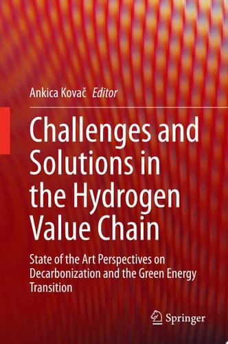 Challenges and Solutions in the Hydrogen Value Chain