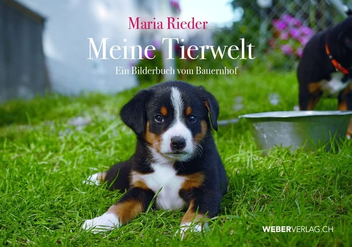 Meine Tierwelt ein Bilderbuch vom Bauernhof