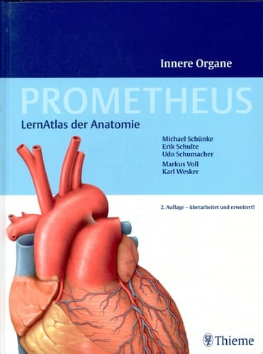 Innere Organe