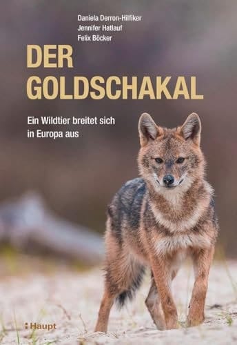 Der Goldschakal Ein Wildtier breitet sich in Europa aus