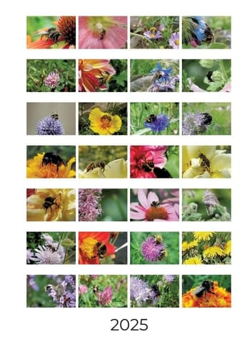 Bienen und Hummeln Wochenkalender 2025