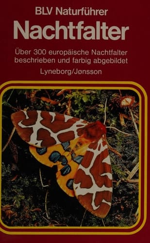 Nachtfalter