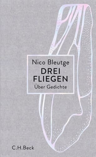 Drei Fliegen über Gedichte