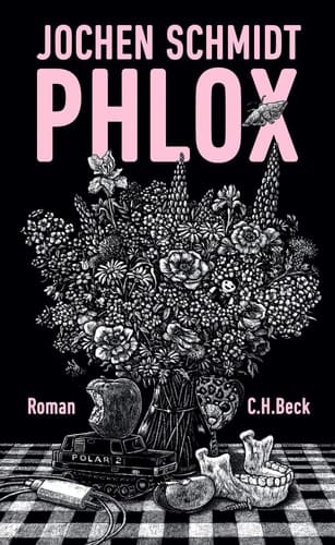 Phlox Roman
