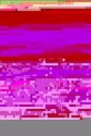 Die Welt ist elefantastisch Belebte Natur. Staffel 1. DVD-Video