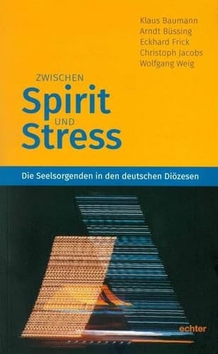 Zwischen Spirit und Stress die Seelsorgenden in den deutschen Diözesen