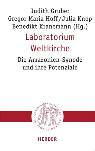 Laboratorium Weltkirche Die Amazonien-Synode und ihre Potenziale
