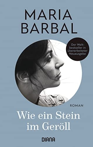 Wie ein Stein im Geröll Roman