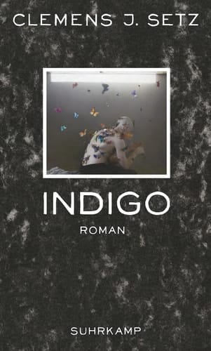 Indigo Roman
