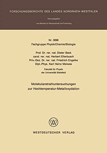 Molekularstrahluntersuchungen zur Hochtemperatur-Metalloxydation
