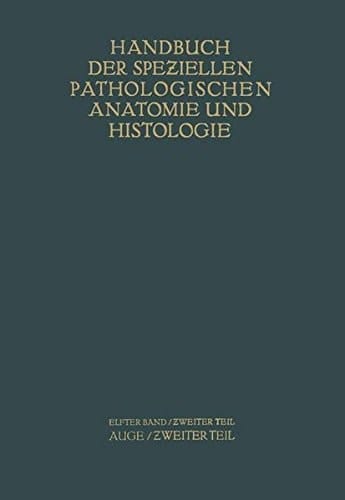 Auge Zweiter Teil