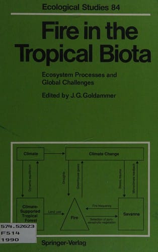 Fire in the Tropical Biota: Ecosystem Processes and Global Challenges (Symbolic Computation)