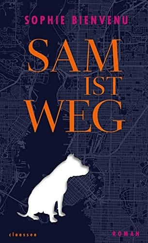 Sam ist weg Roman