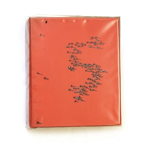 documenta 5 1972.