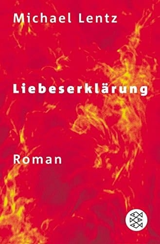 Liebeserklärung Roman