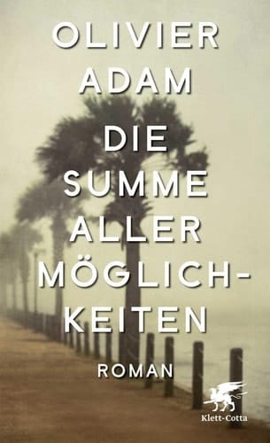 Die Summe aller Möglichkeiten Roman