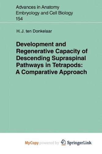 Development and Regenerative Capacity of Descending Supraspinal Pathways in Tetrapods A Comparative Approach