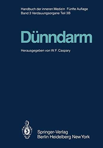 Dünndarm B