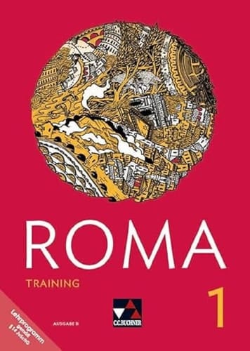 Roma B Training mit Lernsoftware 1