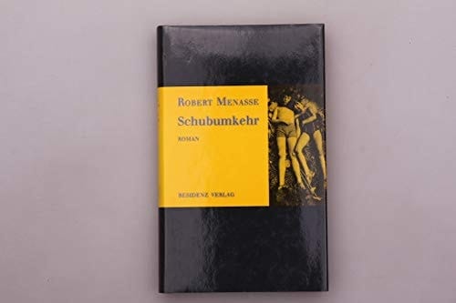 Schubumkehr: Roman