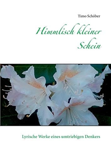 Himmlisch kleiner Schein Lyrische Werke eines umtriebigen Denkers