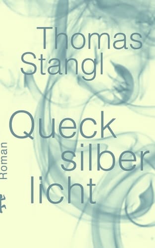 Quecksilberlicht Roman