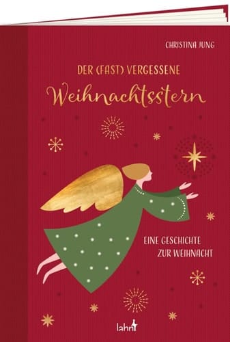 Der fast vergessene Weihnachtsstern Eine Geschichte zur Weihnacht