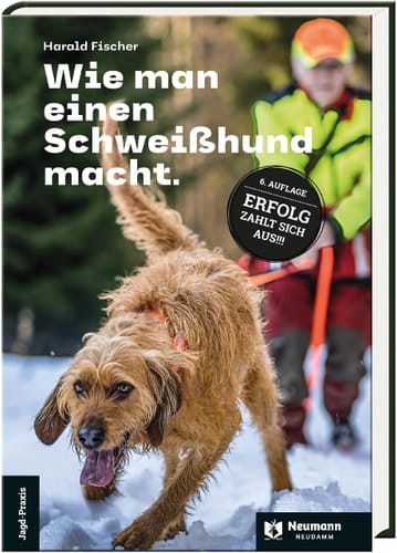 Wie man einen Schweißhund macht Erfolg zahlt sich aus!!!