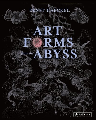 Art Forms from the Abyss Ernst Haeckel's Images From The HMS Challenger Expedition