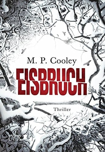 Eisbruch Roman