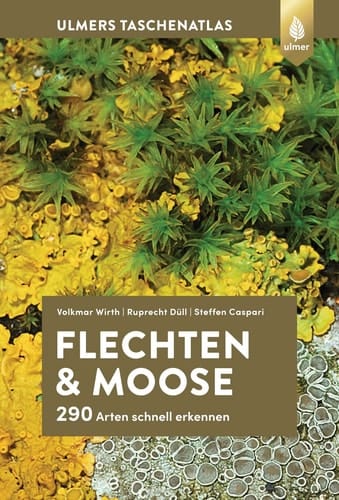 Flechten und Moose 290 Arten schnell erkennen