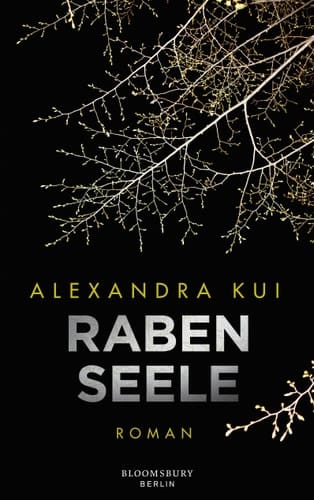 Rabenseele Roman