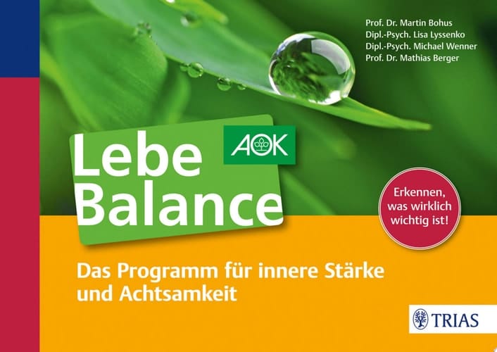 Lebe Balance Das Programm für innere Stärke und Achtsamkeit