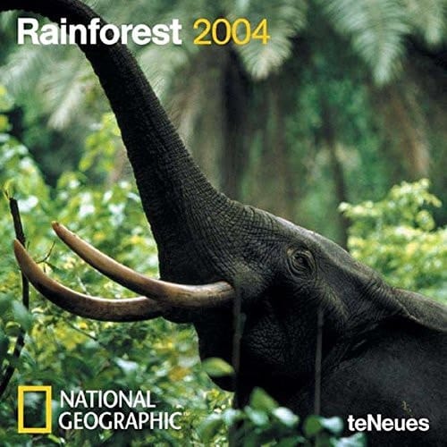 Rainforest 2004