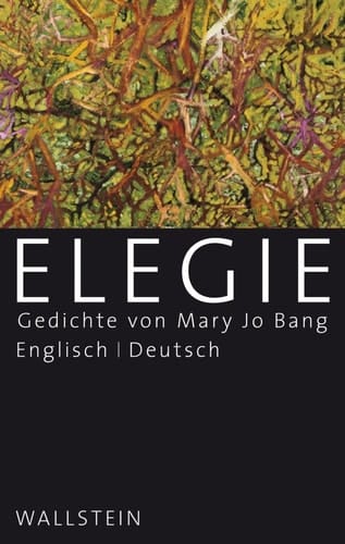 Elegie Gedichte