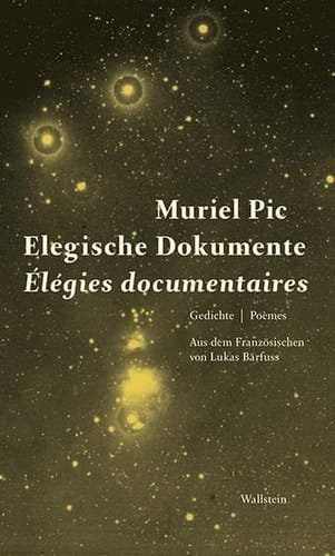 Elegische Dokumente Gedichte
