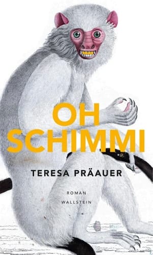 Oh Schimmi Roman