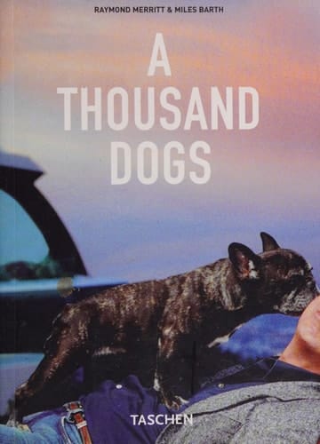 1000 Chiens