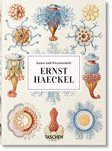 Ernst Haeckel - Kunst und Wissenschaft