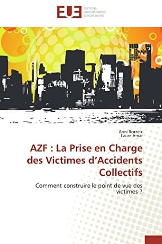 AZF : La Prise en Charge des Victimes d¿Accidents Collectifs Comment construire le point de vue des victimes ?