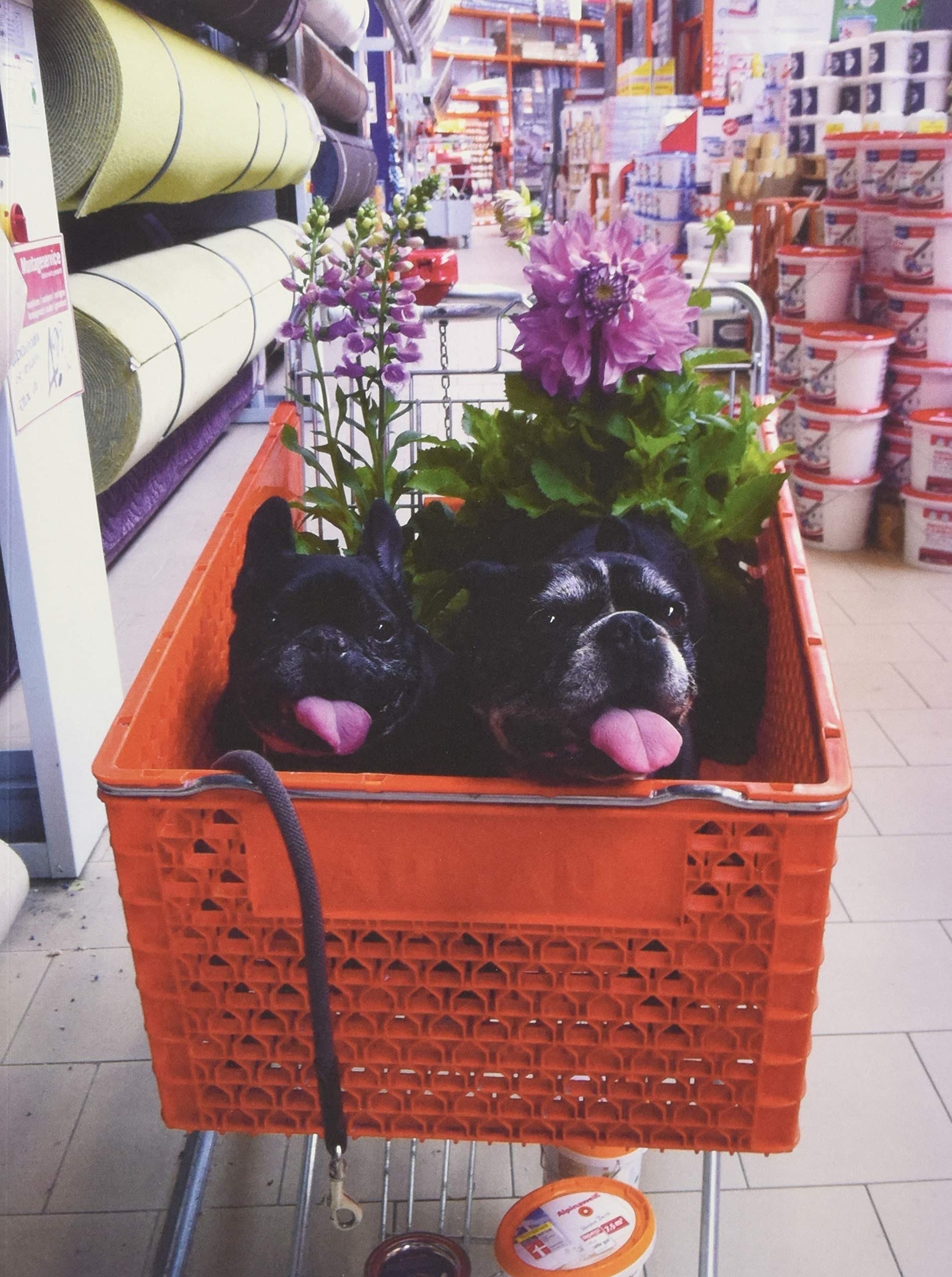 Cosima Von Bonin Hippies Use Side Door : the Year 2014 Has Lost the Plot