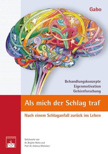 Als mich der Schlag traf nach einem Schlaganfall zurück ins Leben ; [Behandlungskonzepte, Eigenmotivation, Gehirnforschung]