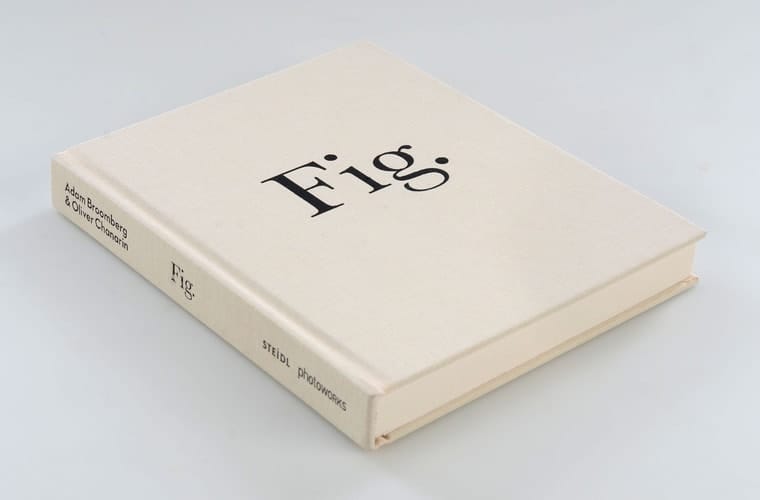 Fig
