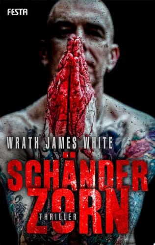 Schänderzorn Thriller