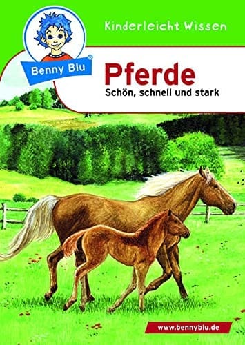 Pferde schön, schnell, stark