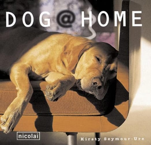 Dog _372 home