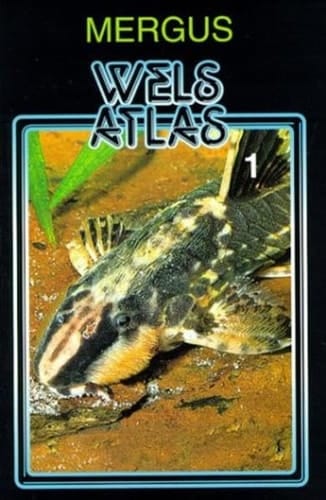 Wels-Atlas